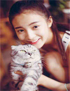 神秘岛电视剧-恋恋小酒窝电视剧免费观看